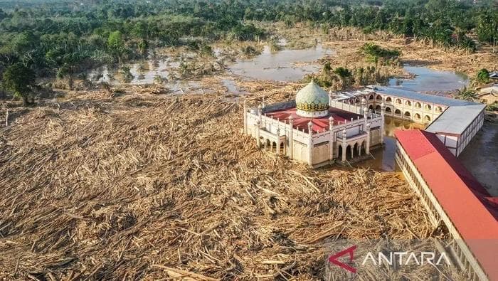 Lautan' Kayu Muncul di Aceh Tamiang Usai Banjir Besar